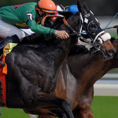 Hair and Hope Charity Race Day is cancelled